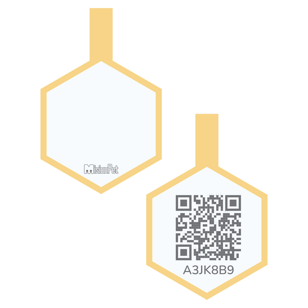 Hexágono Inteligente
