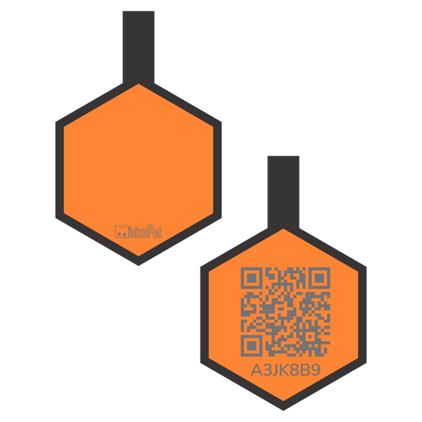 Hexágono Inteligente