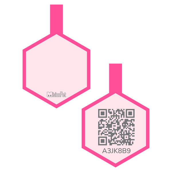 Hexágono Inteligente