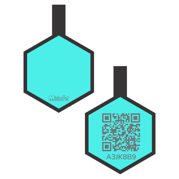 Hexágono Inteligente