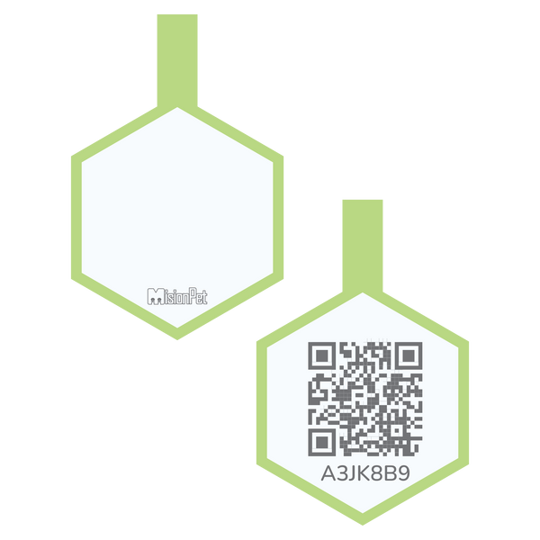 Hexágono Inteligente