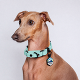 Collar Martingale (Pequeños) <b>Colores Pastel</b>