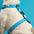 Azul Celeste