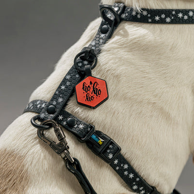 Combo <b>Navidad</b>         
1.6 cm de ancho