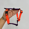 Arnés H 1.6cm Colección Halloween - Combinados