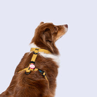 Arnés H (Medianos y Grandes ancho 2.5cm) <b>Colores Glam MisionPet</b>