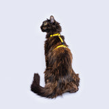 Arnes mini para gatos en H color amarillo pastel