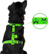 Arnes en H verde grinch para perros medianos y grandes