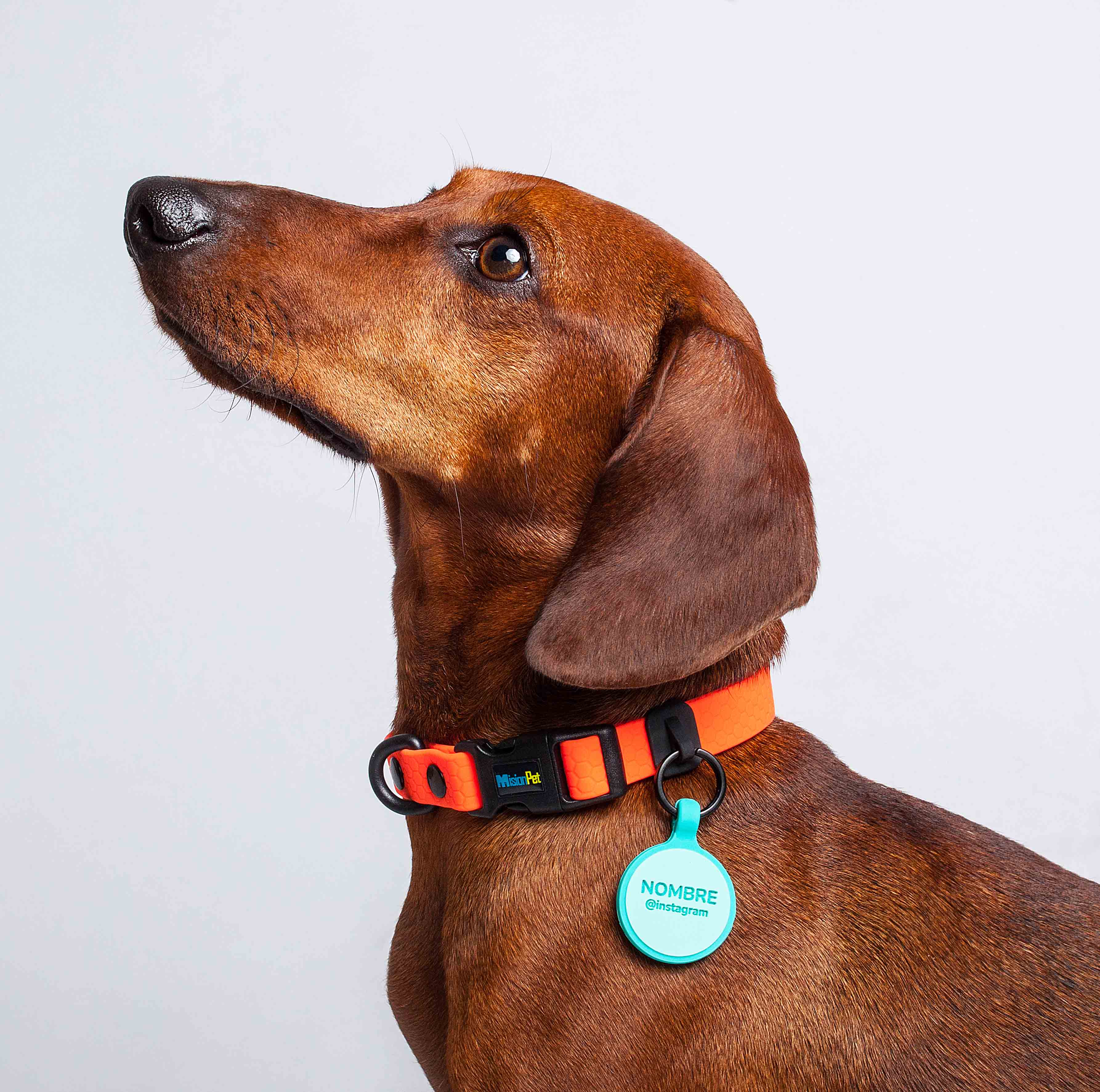 Collar ligero para perros pequeños color naranja