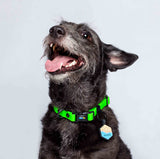 Collar ligero para perros pequeños color verde neon