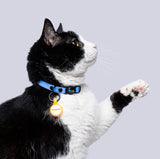 Collar Gatos (Mini)