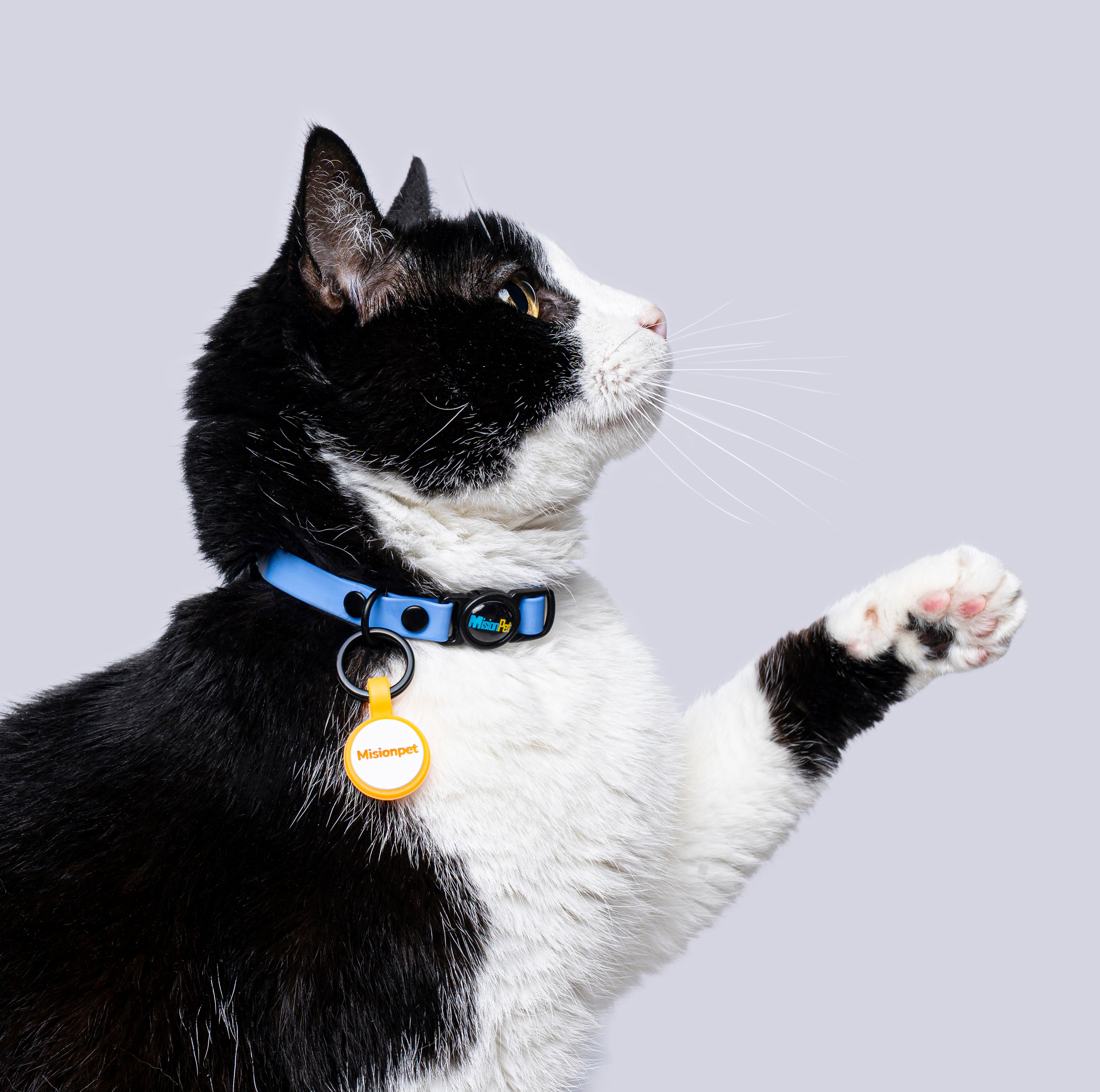 Collar Gatos (Mini)