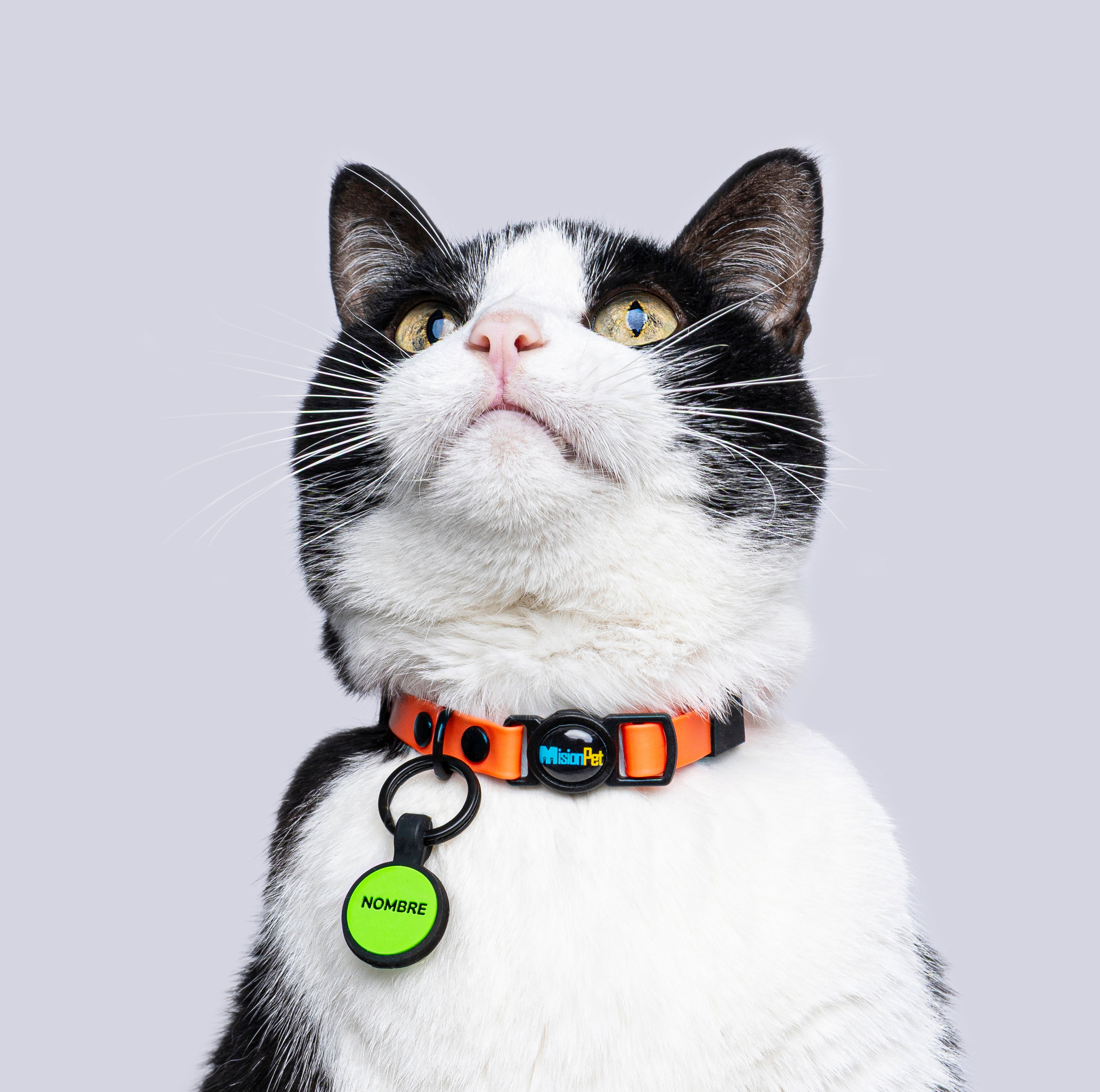 Collar Gatos (Mini)