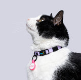 Collar Gatos (Mini)