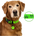 Verde Grinch