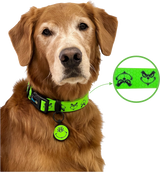 Collar Halloween (Medianos y Grandes)