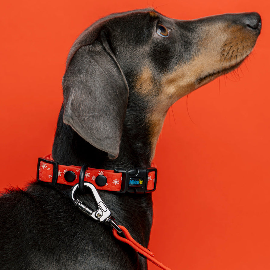 Collar edicion navidad rojo con copitos para perros pequeñs