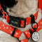 Collar edicion navidad rojo con copitos para perros medianos y grandes