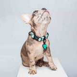 Collar (Pequeños)