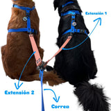 Correa de extension para paseo de mascotas ideal para pasear dos perros