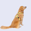 Arnés H L/XL (Perros extragrandes) Colores Glam MisionPet