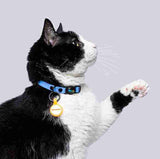 Collar Gatos (Mini)
