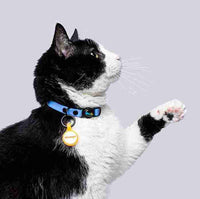 Azul