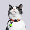 Collar Gatos (Mini)