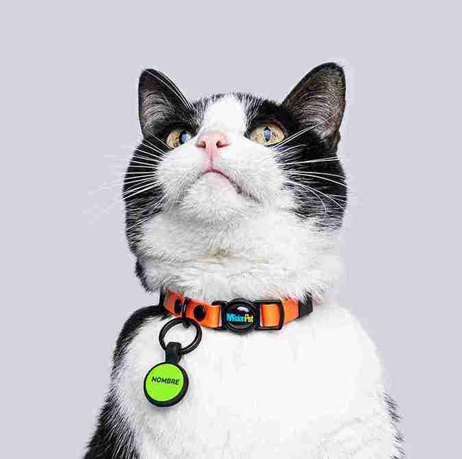 Collar Gatos (Mini)