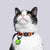 Collar Gatos