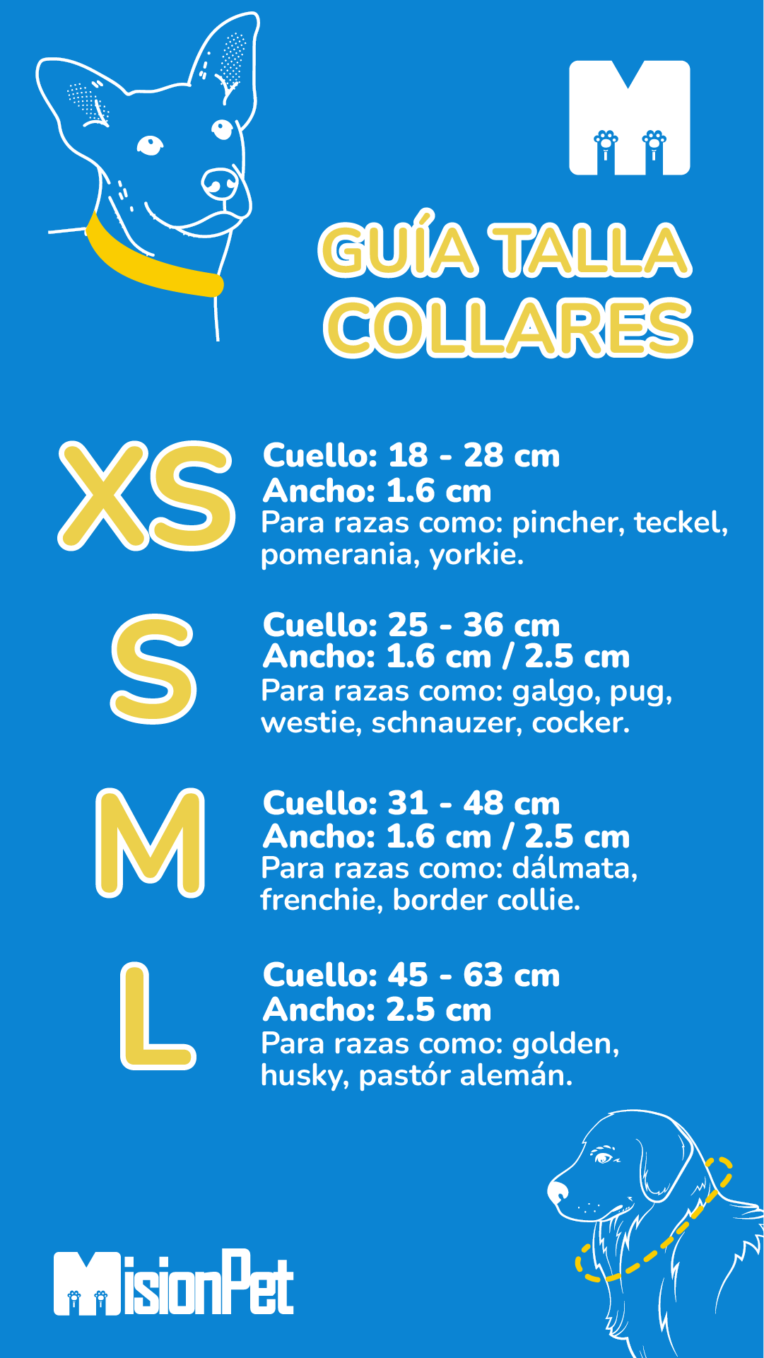 Guía de Tallas
