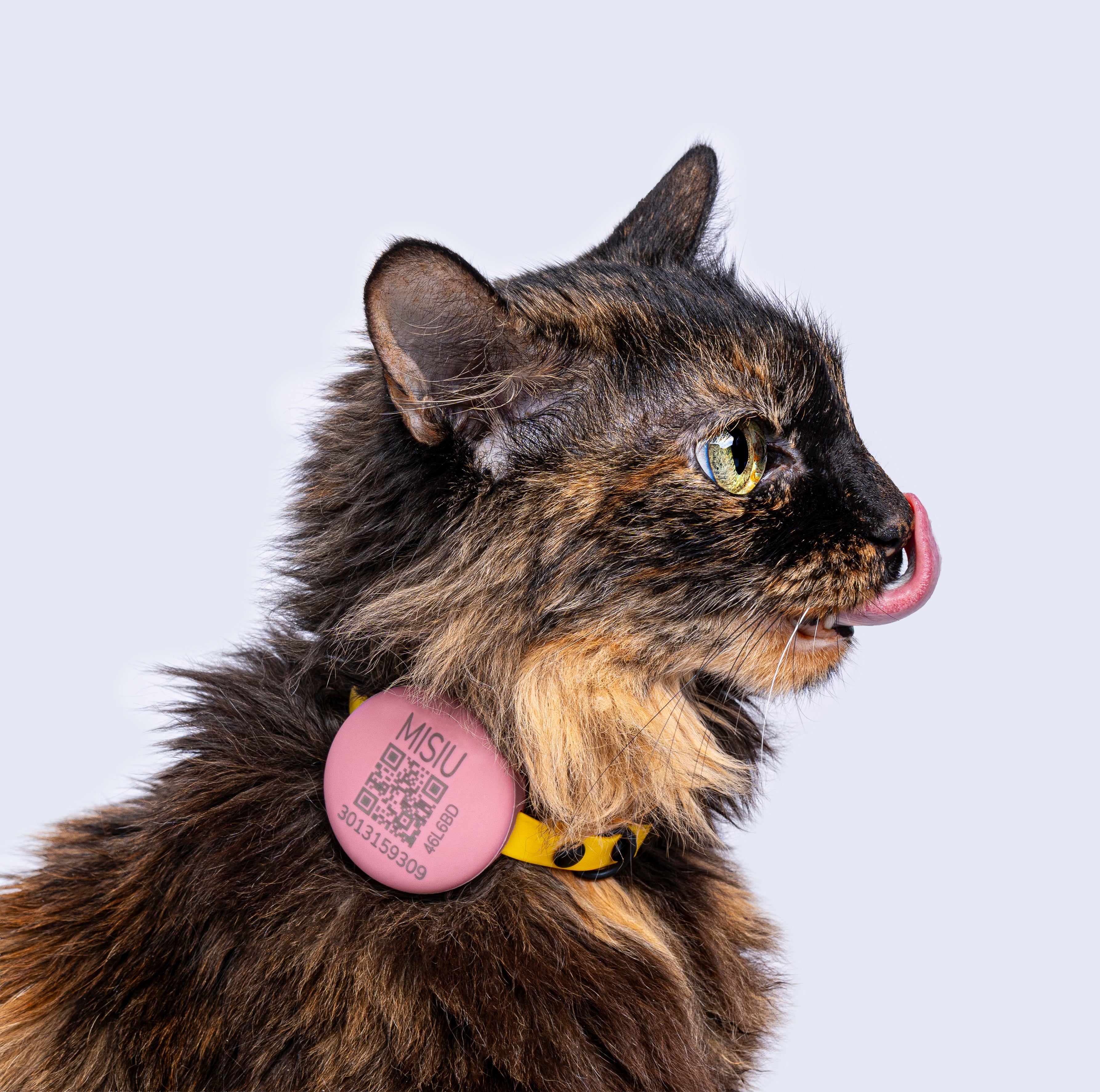 Porta Airtag inteligente personalizable para gato