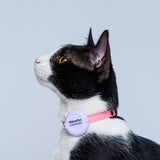 Porta Airtag Gato