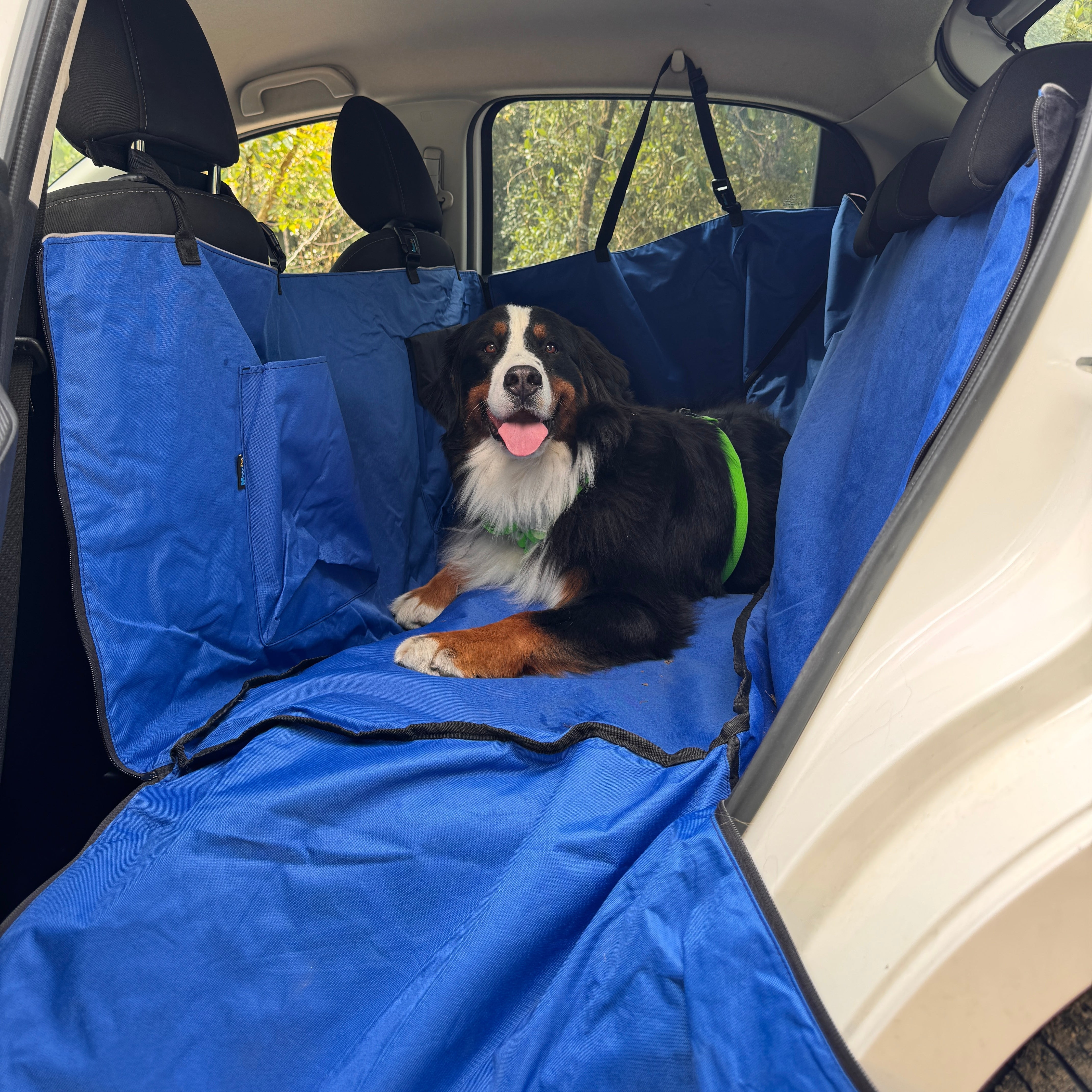 PROTECTOR SILLA CARRO