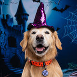 Collar Halloween (Medianos y Grandes)