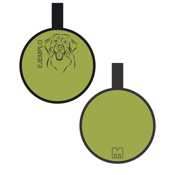 Placa con ilustración Circulo