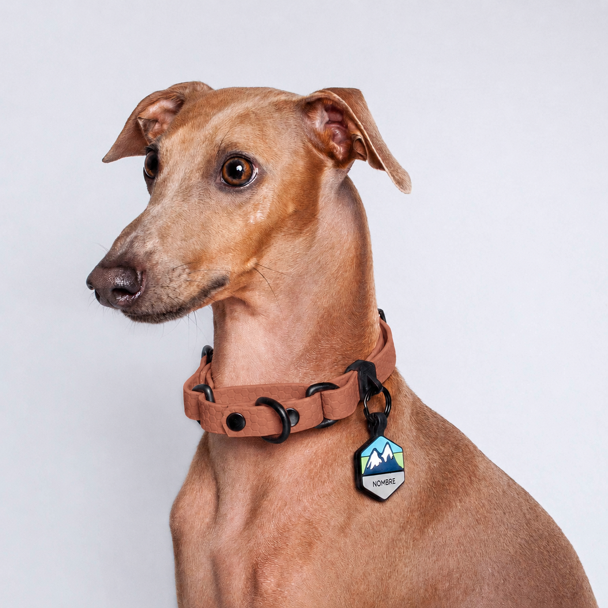 Collar Martingale (Pequeños) <b>Colores Pastel</b>