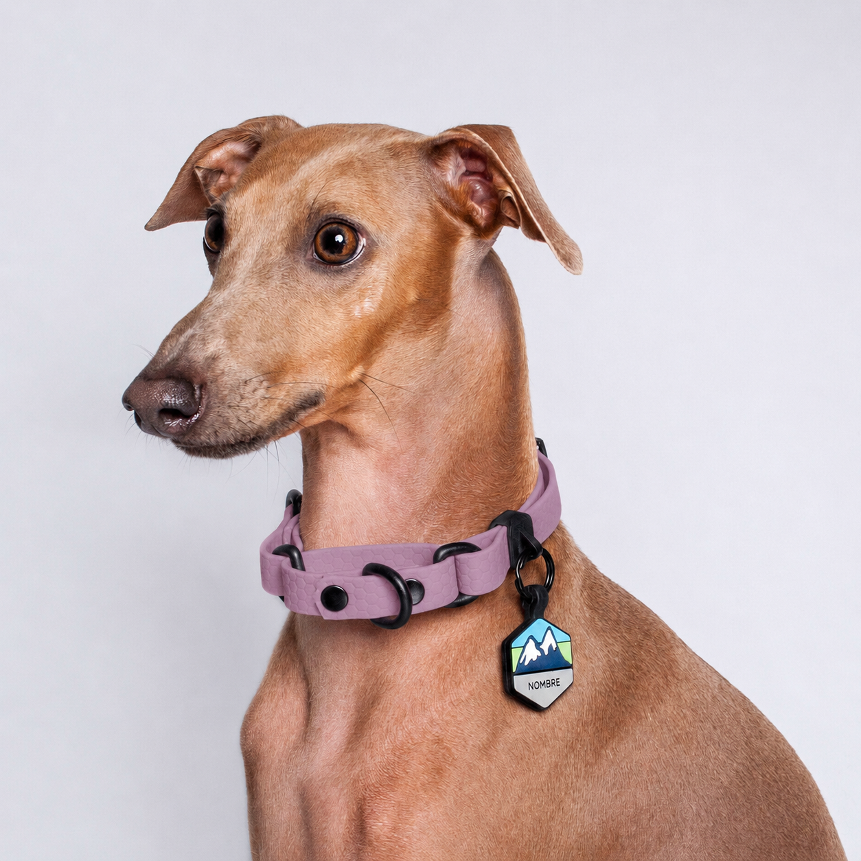 Collar Martingale (Pequeños) <b>Colores Pastel</b>