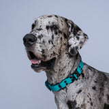 Collar Martingale (Extragrandes)