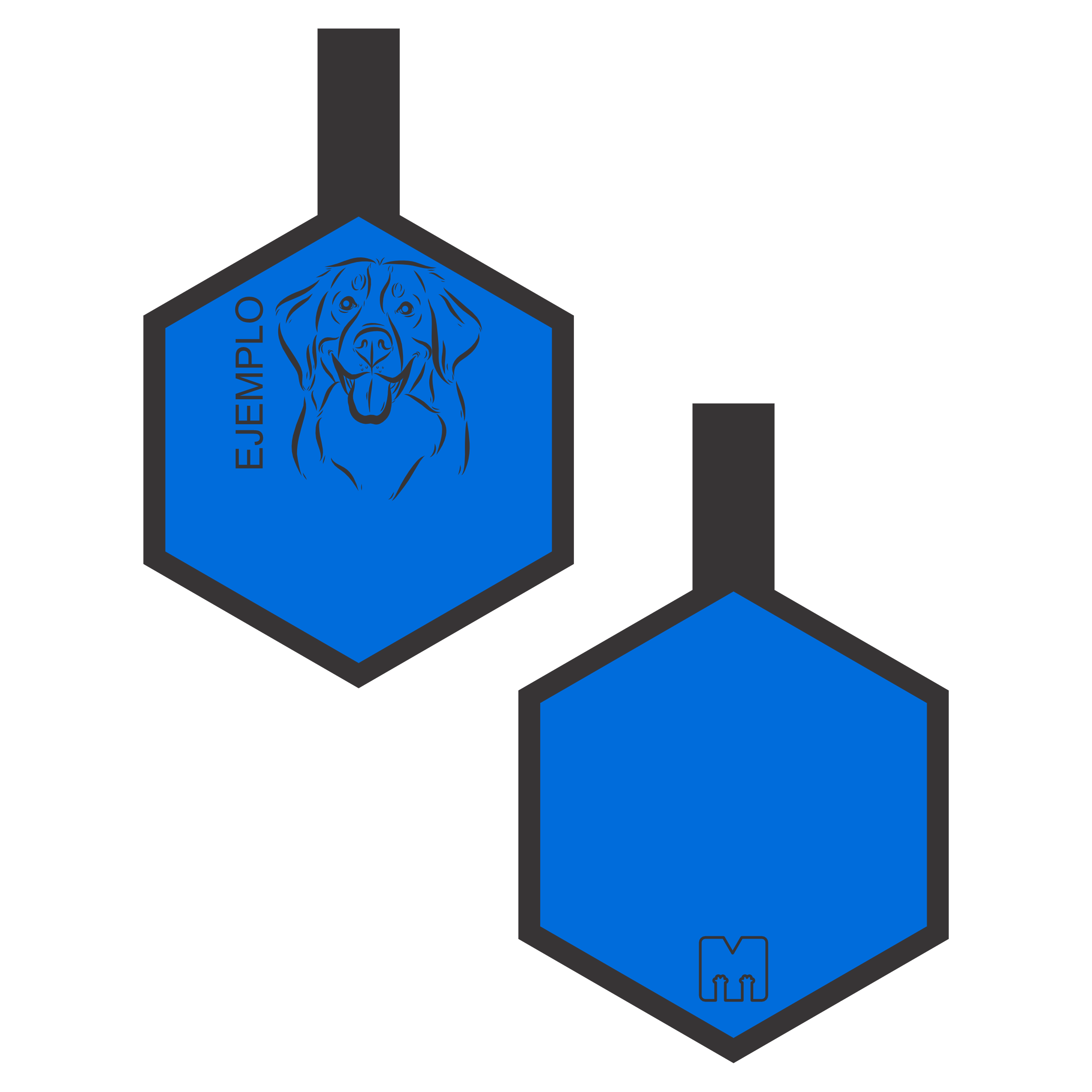 Placa de identificacion para mascotas azul con ilustracion personalizada en forma de hexagono.