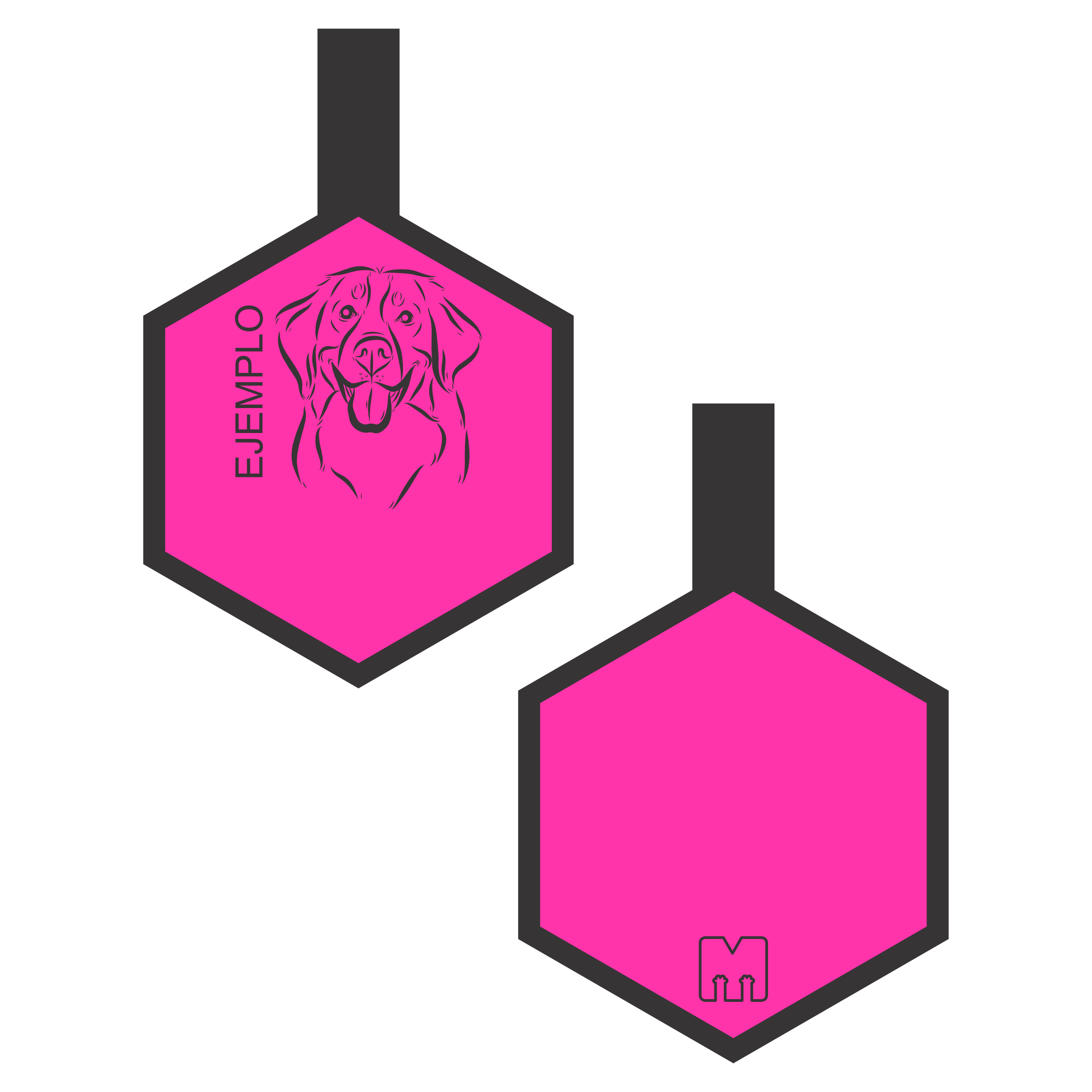 Placa de identificacion para mascotas rosada con ilustracion personalizada en forma de hexagono.