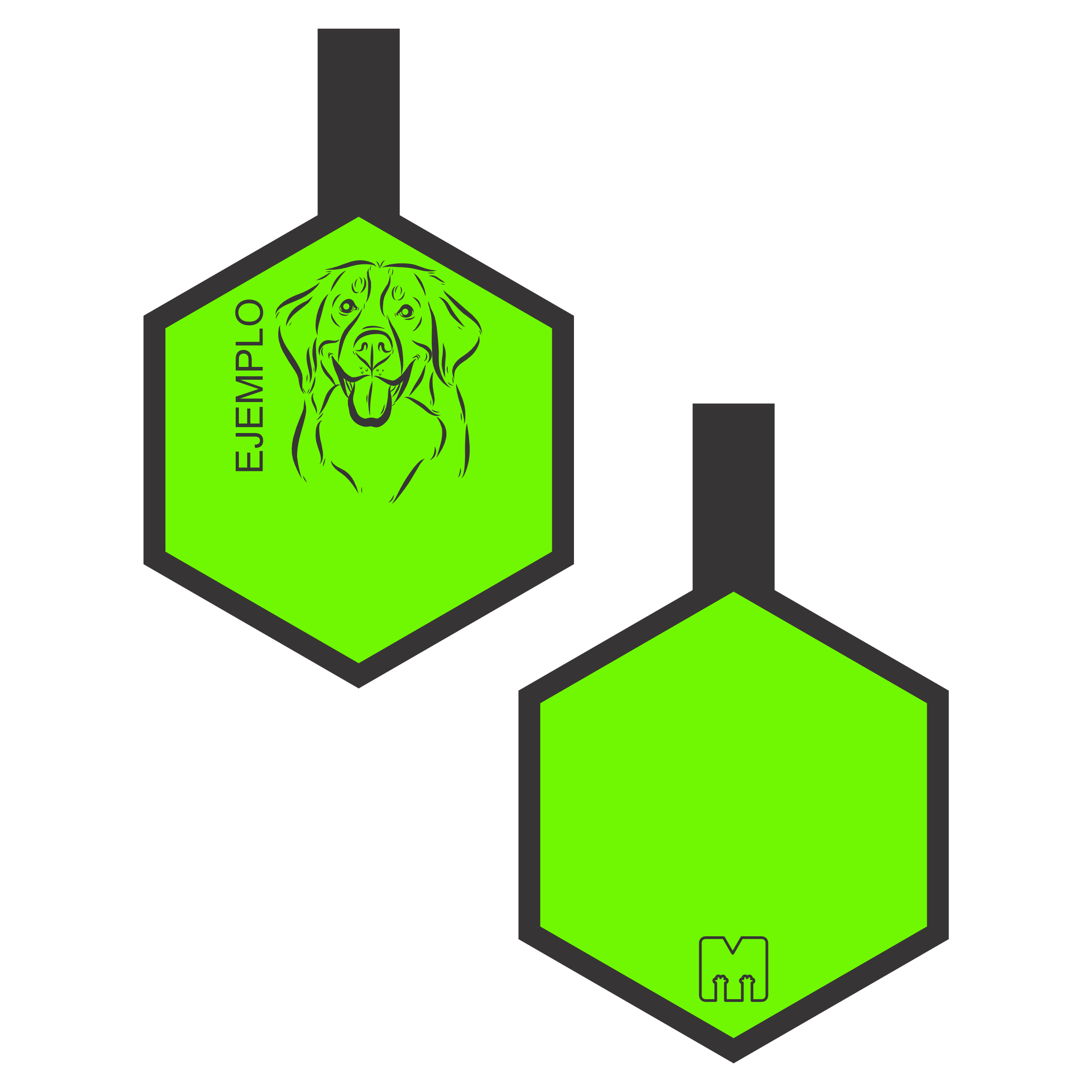 Placa de identificacion para mascotas verde con ilustracion personalziada en forma de hexagono