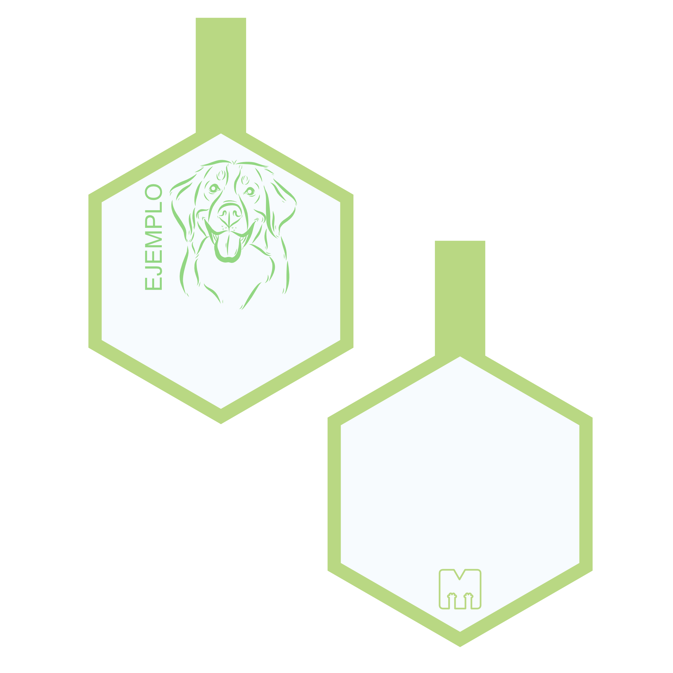 Placa de identificacion para mascotas verde con ilustracion personalizada en forma de hexagono