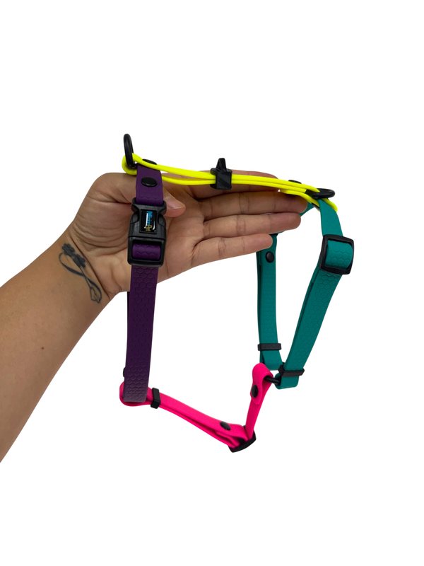 Arnés H POP ART 1.6cm