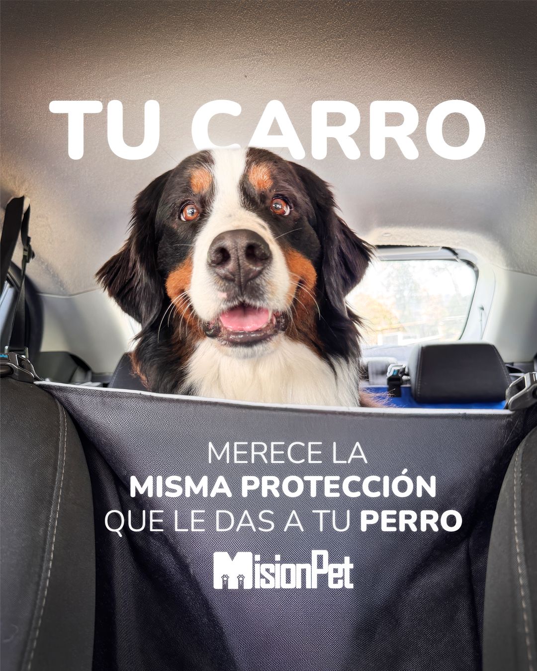 Protector para la silla del carro antirasguños, impermeable y con borde reflectivo