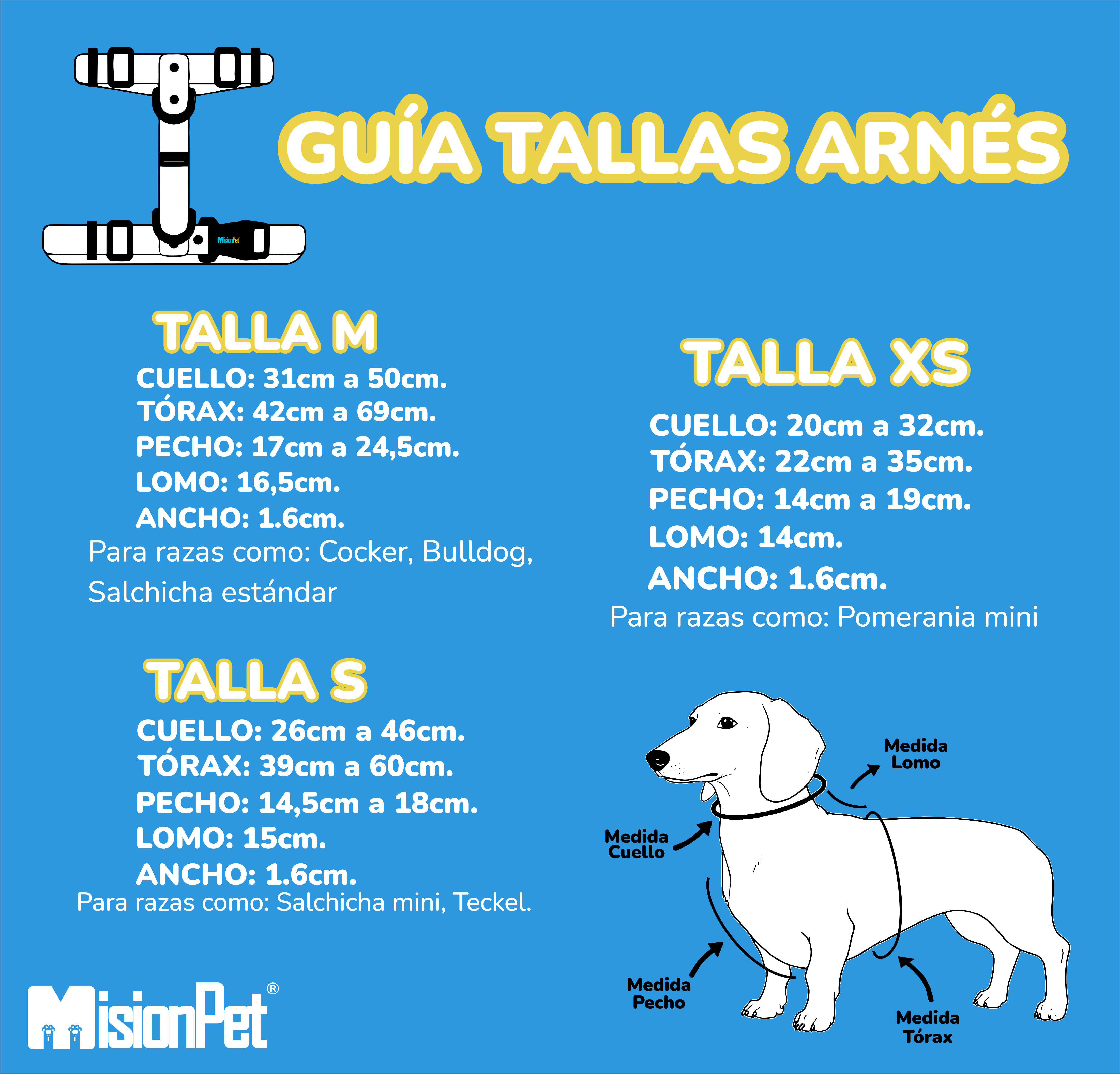 Guía de Tallas