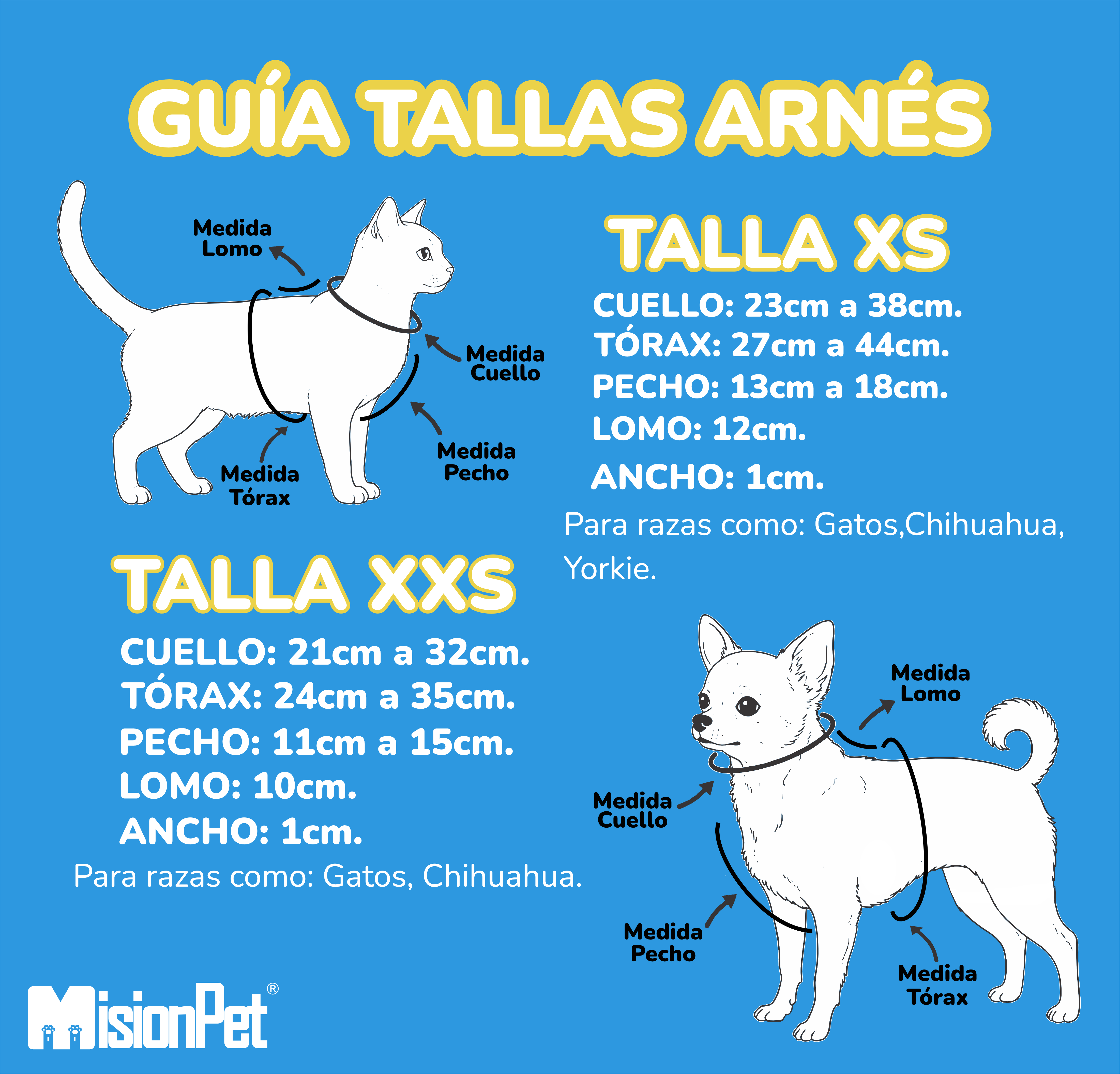 Guía de Tallas