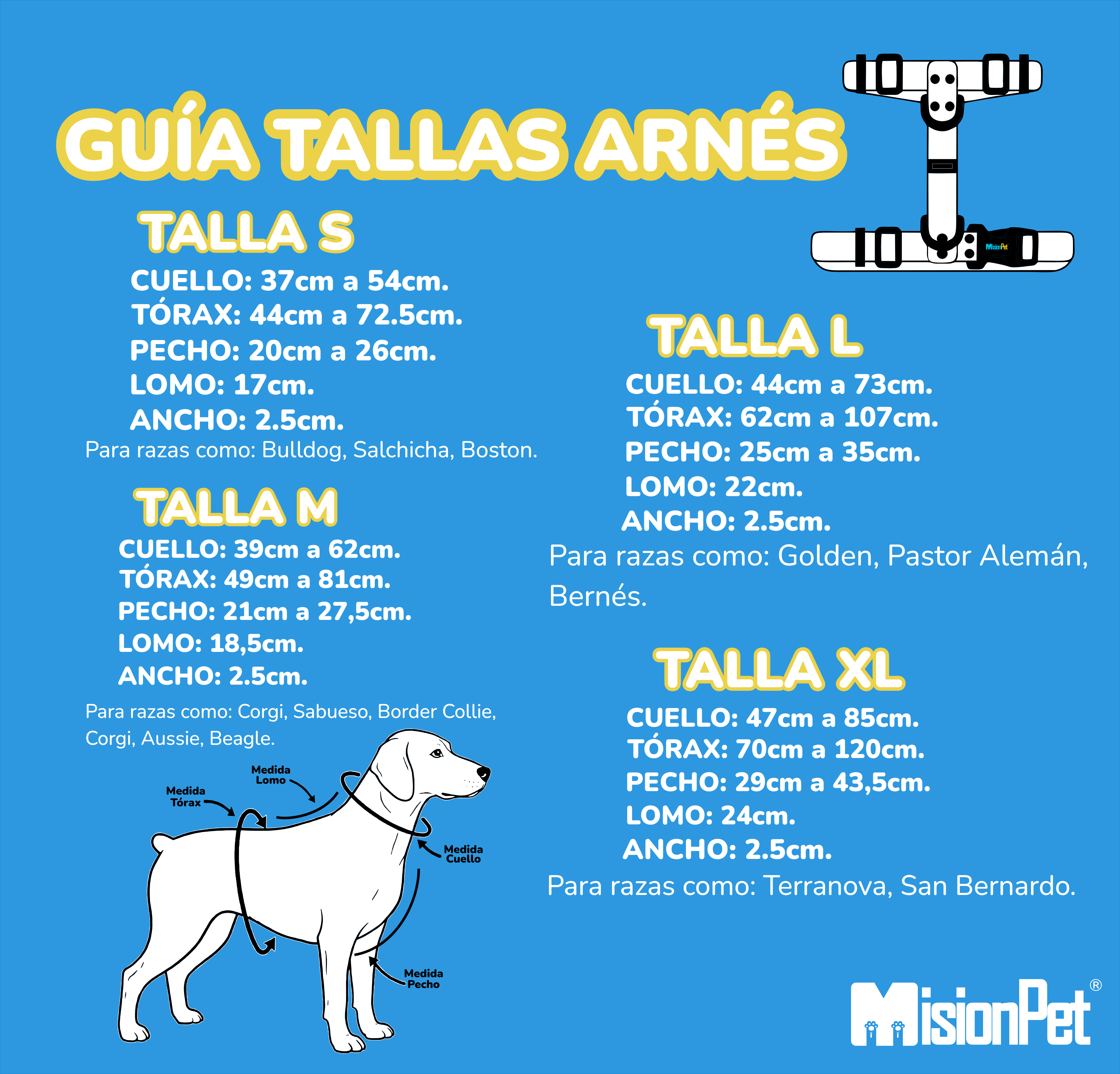 Guía de Tallas