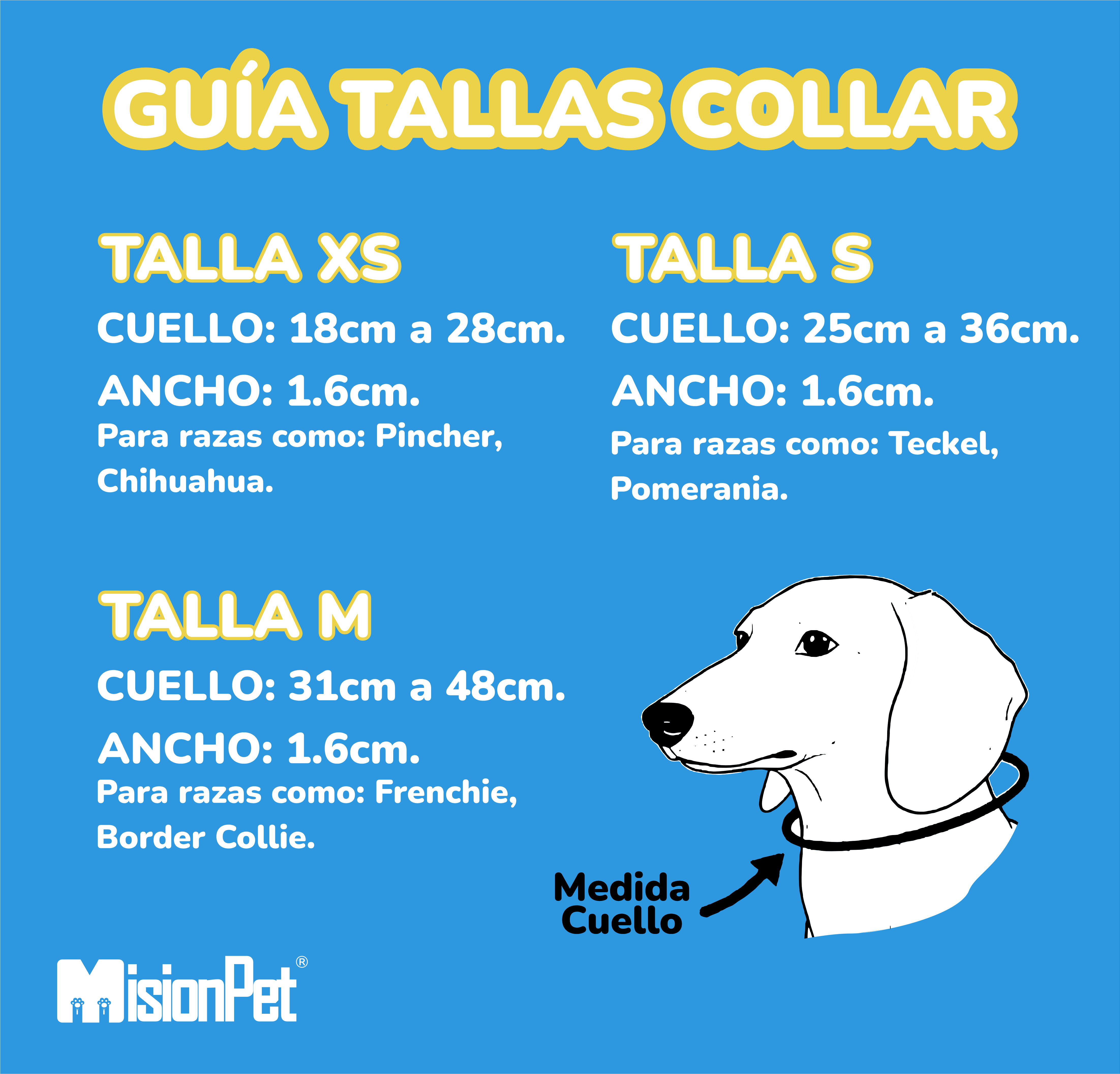 Guía de Tallas