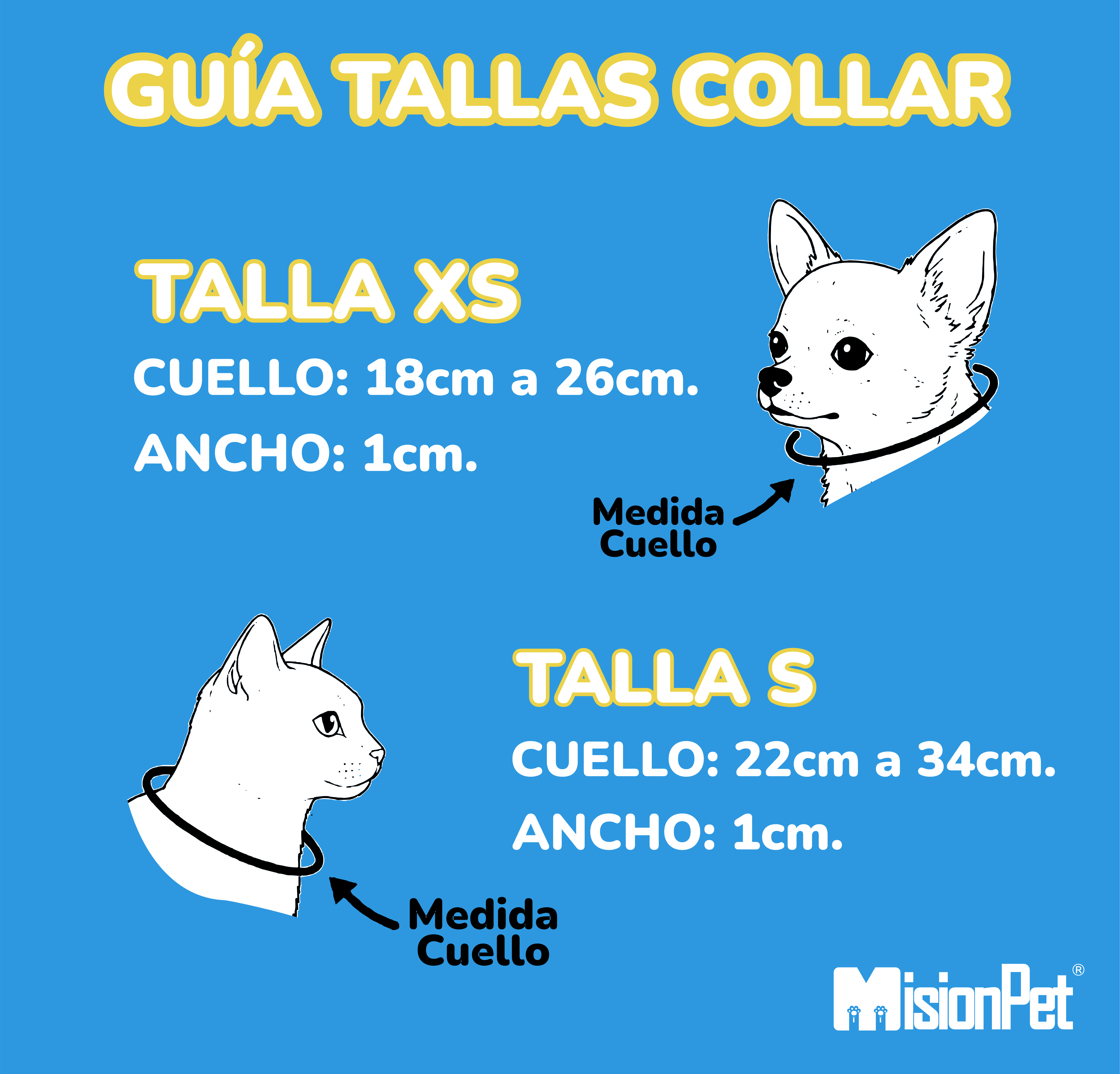 Guía de Tallas